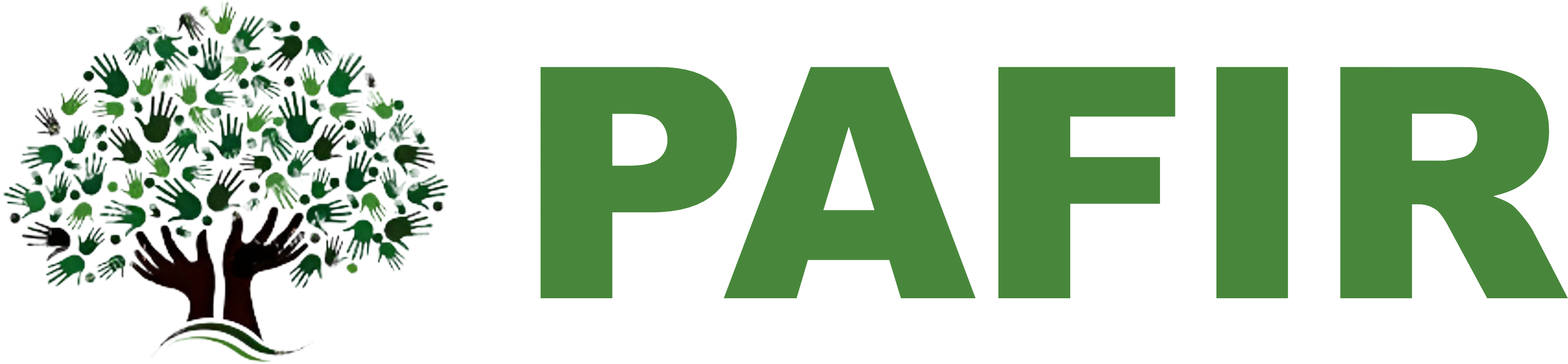 PAFIR